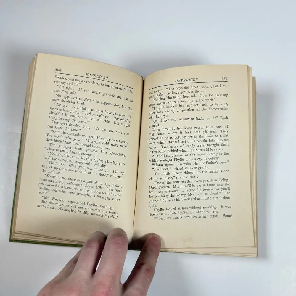 Mavericks By WILLIAM MacLeod Raine 1912 Antique book
